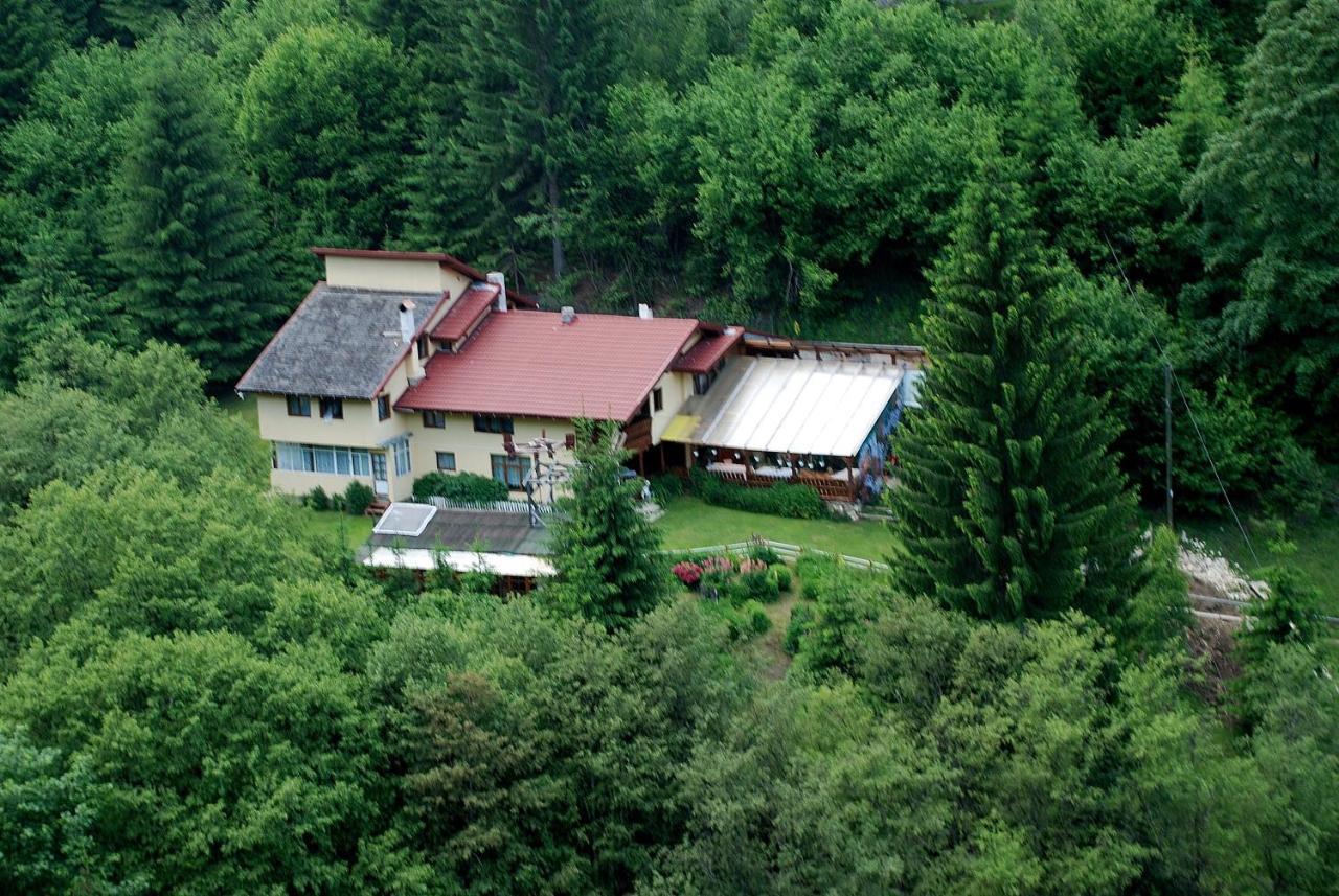 Cabana Suprema Armonie Dimbovicioara Exterior photo