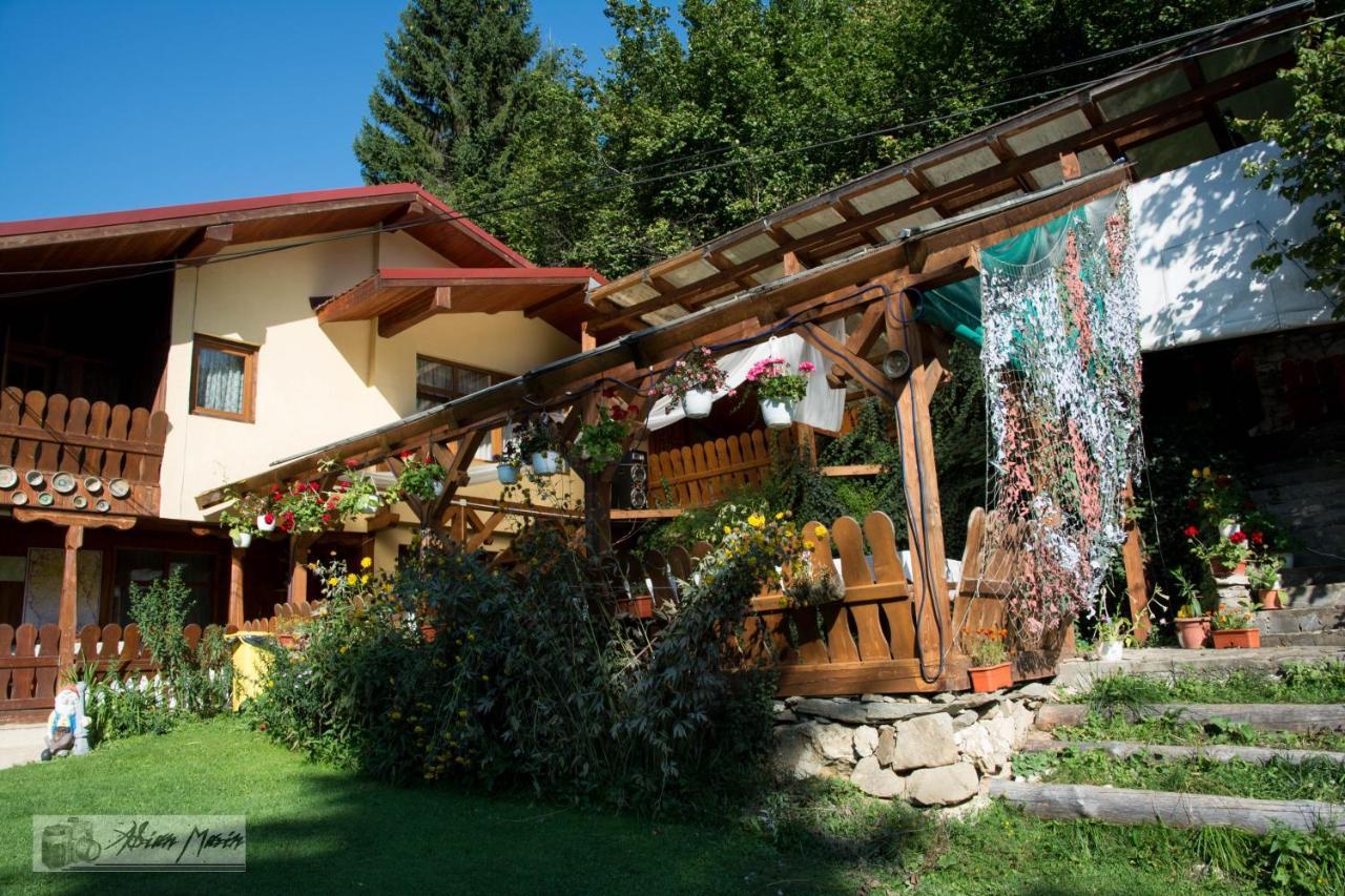 Cabana Suprema Armonie Dimbovicioara Exterior photo